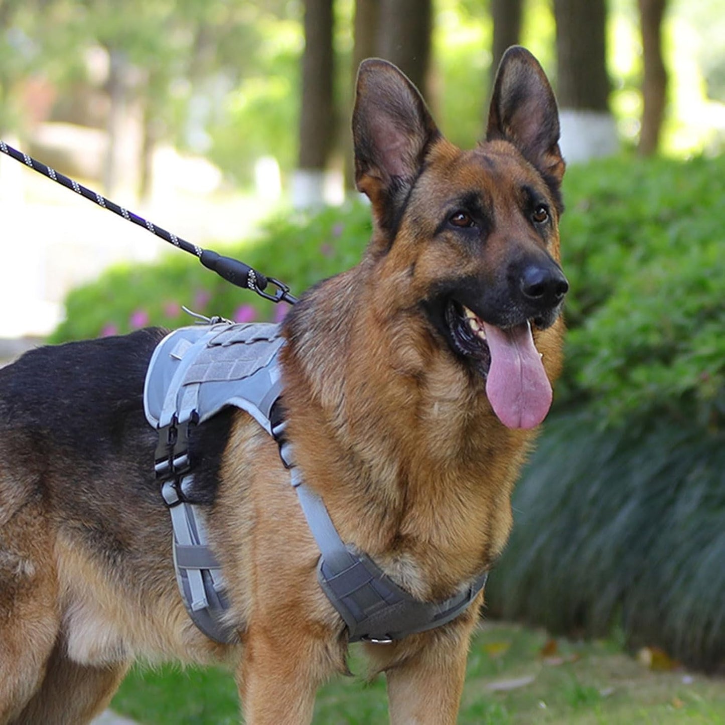 Comfortable and Secure Large Dog Harness