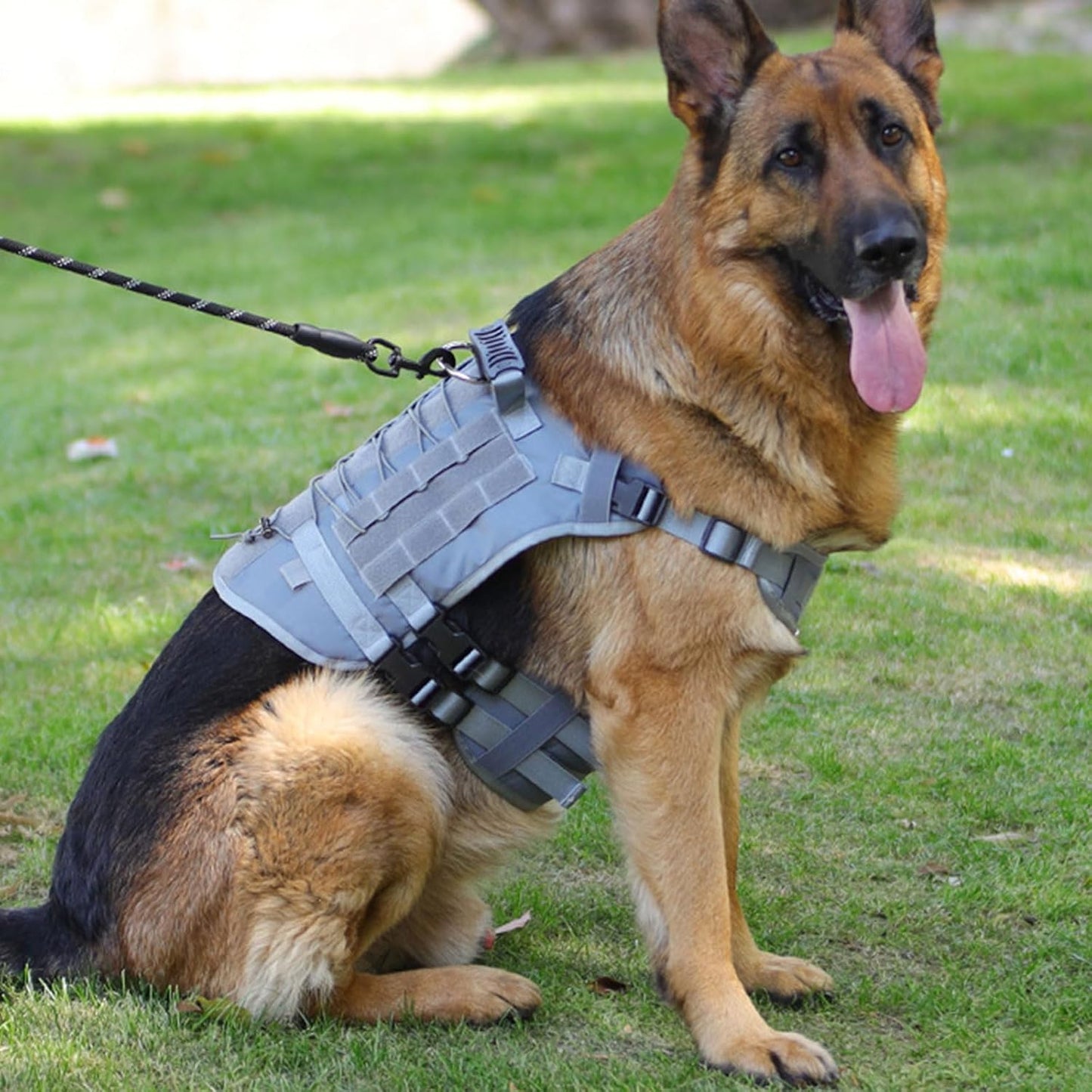 Comfortable and Secure Large Dog Harness