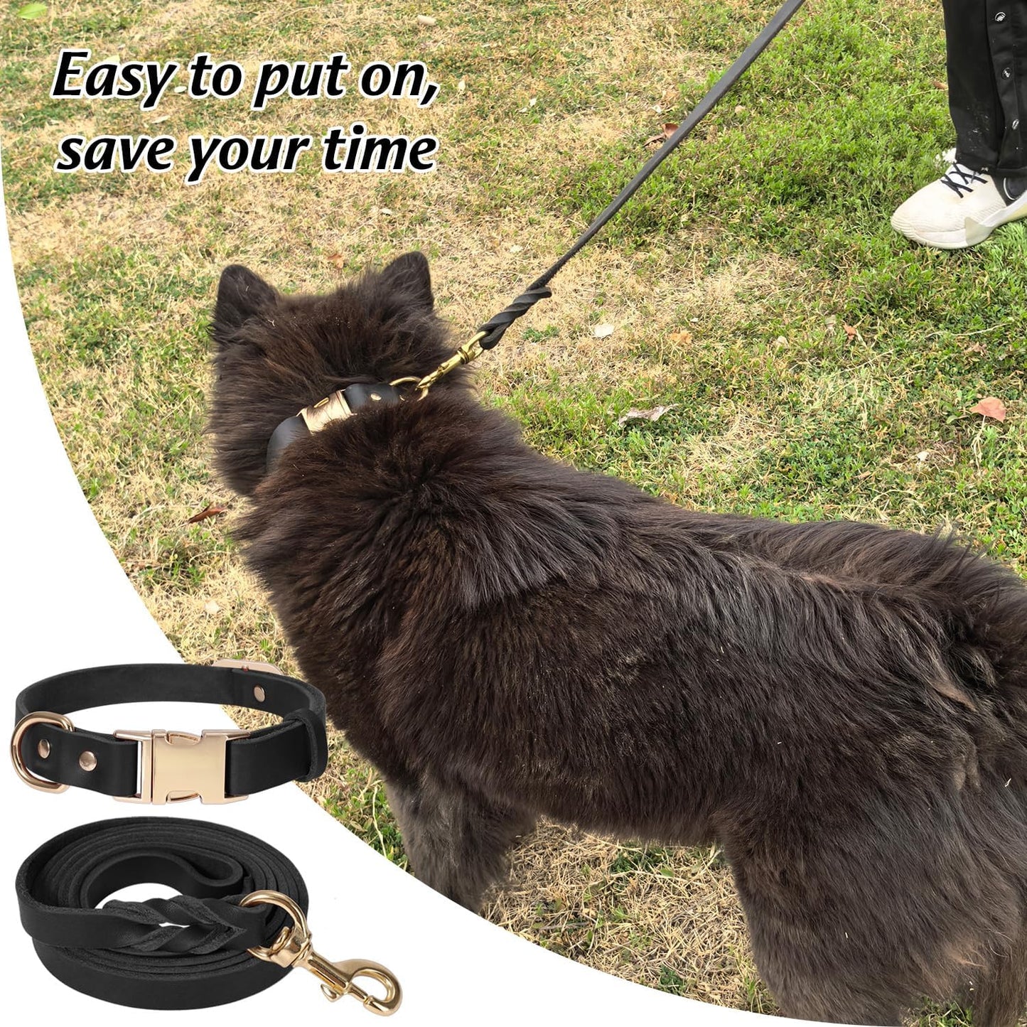 Heavy Duty 5FT Leather Dog Collar and Leash Set with Metal Buckle