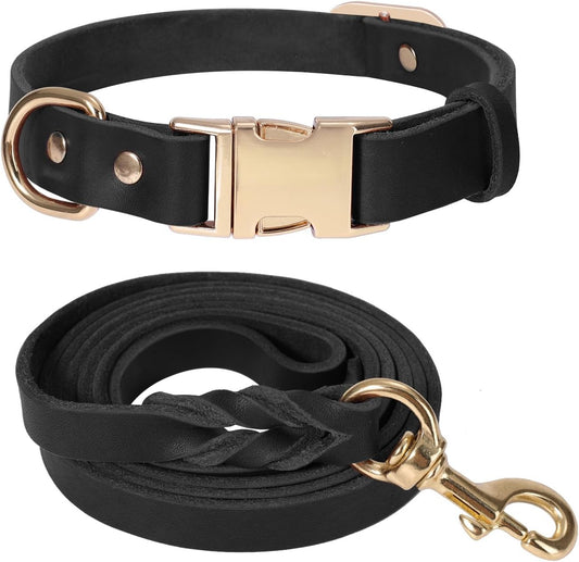 Heavy Duty 5FT Leather Dog Collar and Leash Set with Metal Buckle